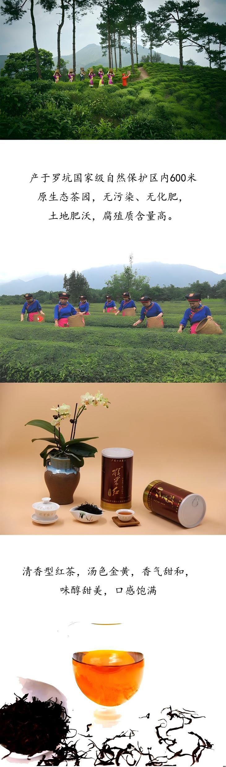 猴采红香茗原生态红茶2(1).jpg